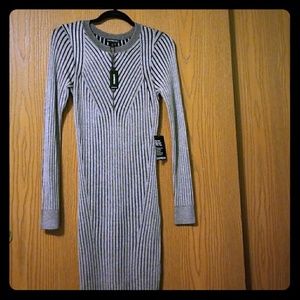 Express long sleeve dress